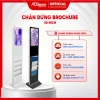 Màn hình quảng cáo chân đứng cảm ứng 50 inch được thiết kế 4 hộc đựng brochure