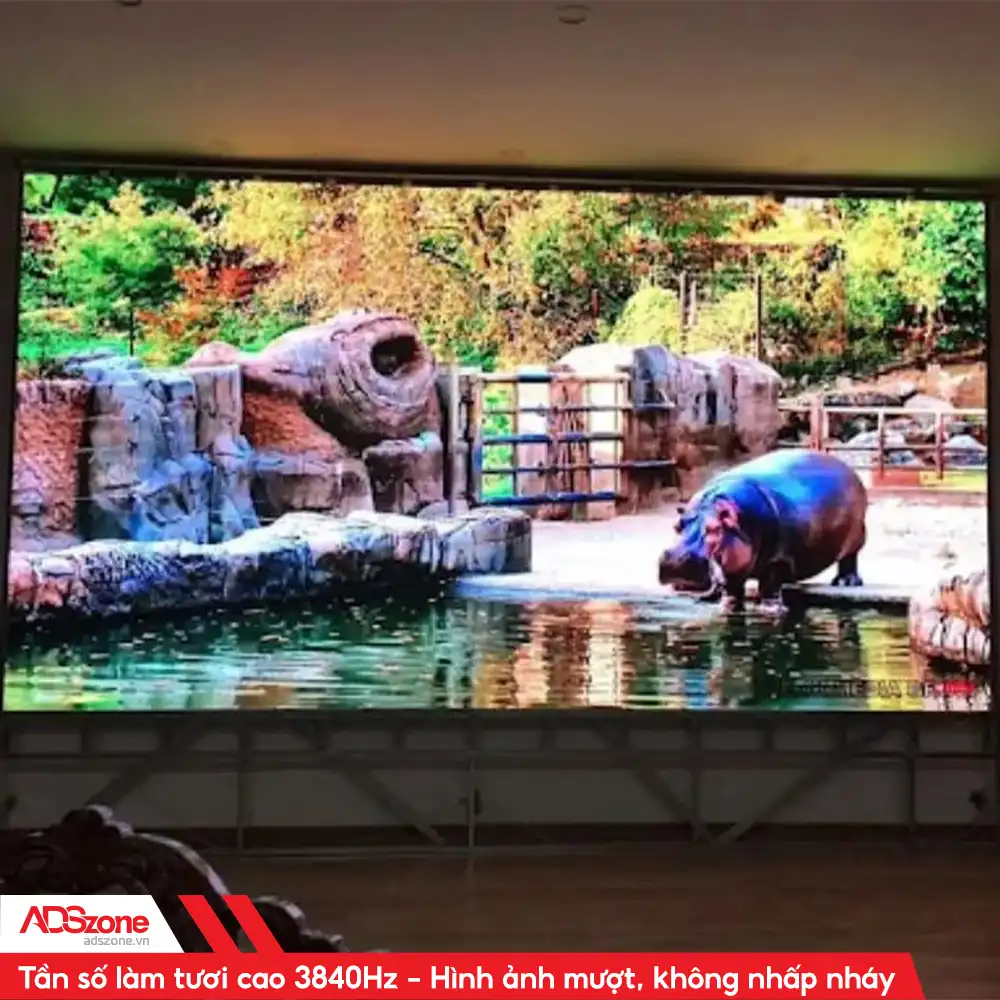 Tầng Số Làm Tươi Cao Giúp Màu Sắc Hiển Thị Sống Động