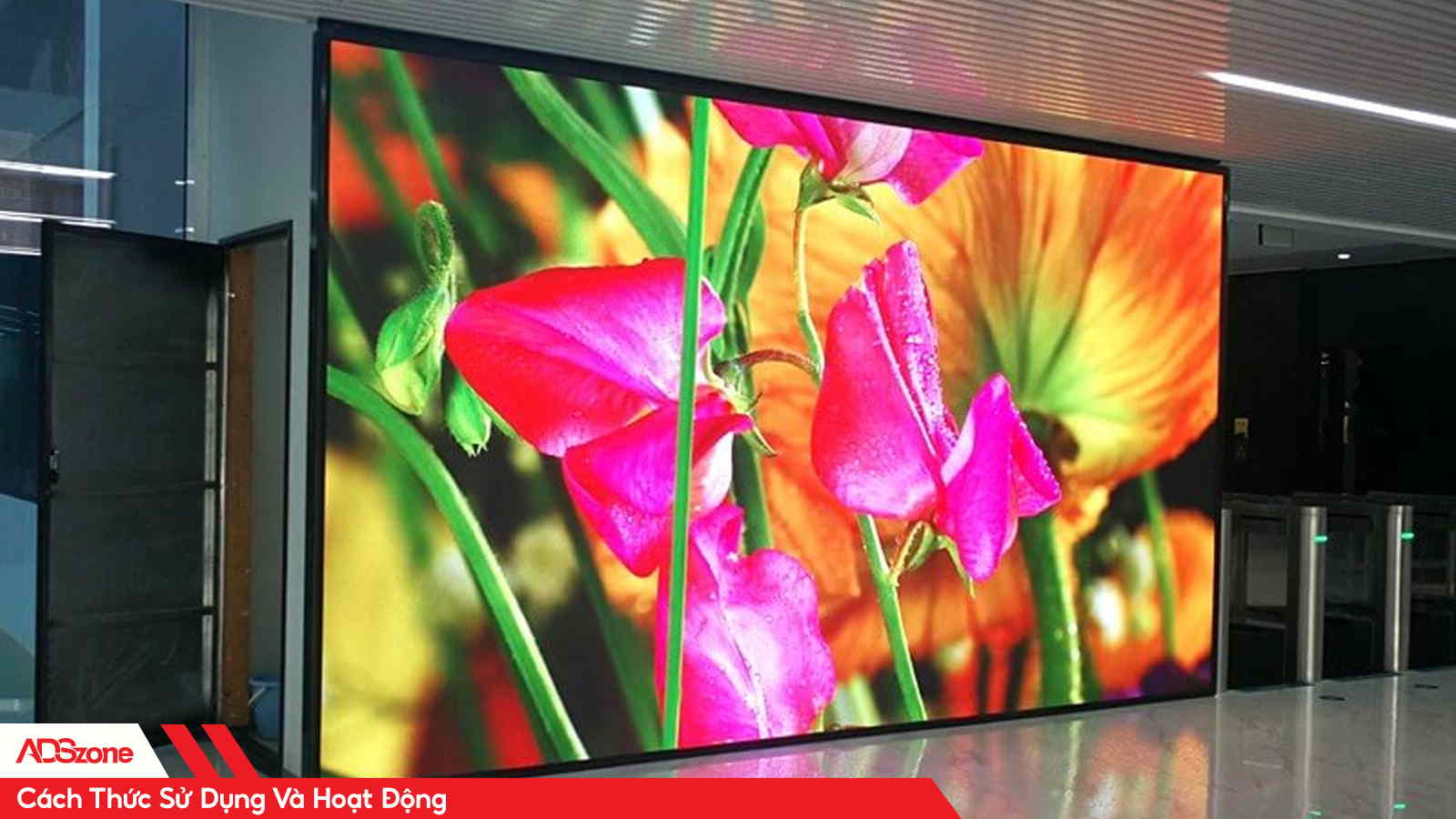 Màn LED Trong Nhà Trình Chiếu TVC Ấn Phẩm Quảng Cáo