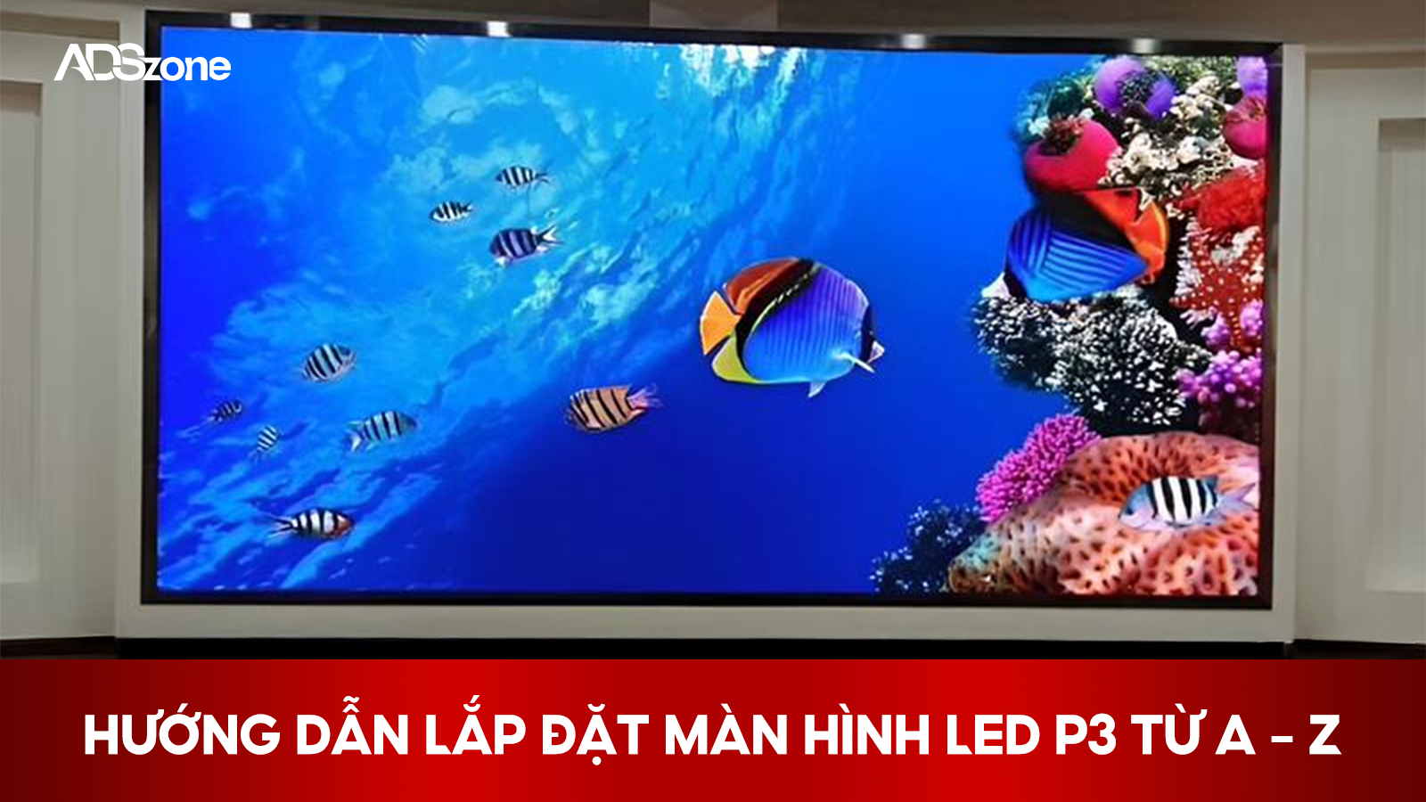 Lắp Màn Hình LED P3 Từ A-Z Chi Tiết Nhất