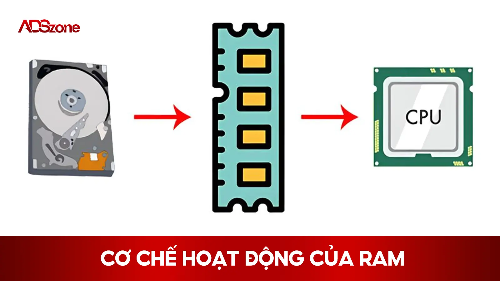 Cơ Chế Hoạt Động Của RAM - RAM Là Bộ Trong Hay Ngoài 