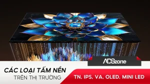 Các Loại Tấm Nền Trên Thị Trường: TN, IPS, VA, OLED, Mini LED