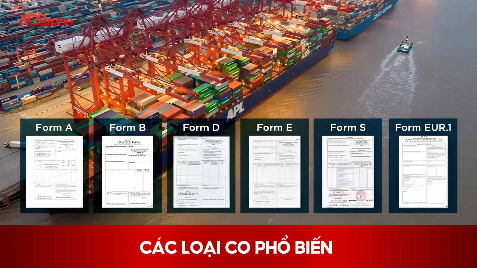 Các Loại CO Phổ Biến 