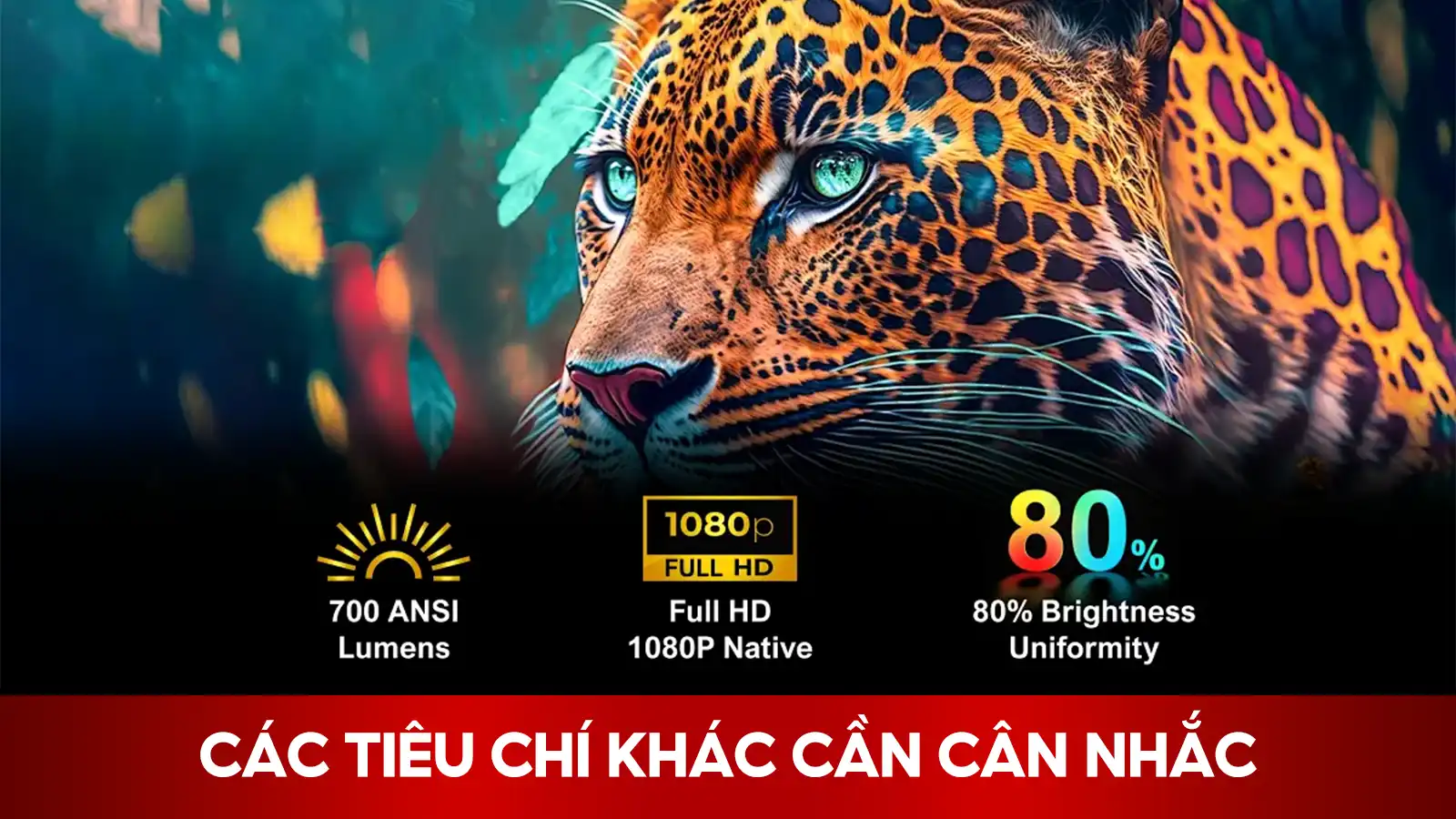 Các Tiêu Chí Khác Cần Cân Nhắc Khi Lựa Chọn Tấm Nền