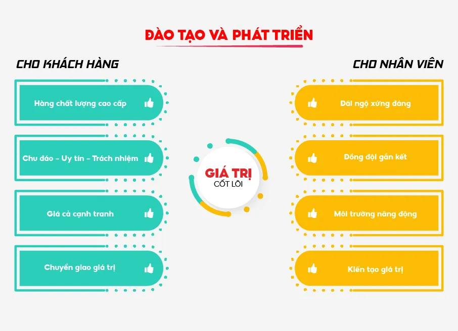 Đào Tào & Phát Triển Tại ADSzone