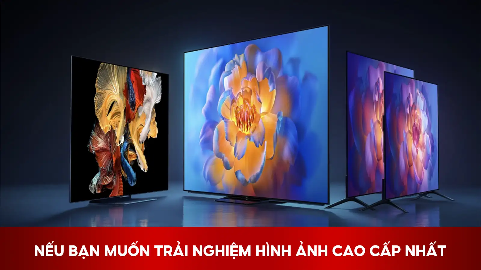 Lựa Chọn Tấm Nền Phù Hợp Với Người Muốn Trải Nghiệm Hình Ảnh CHất Lượng