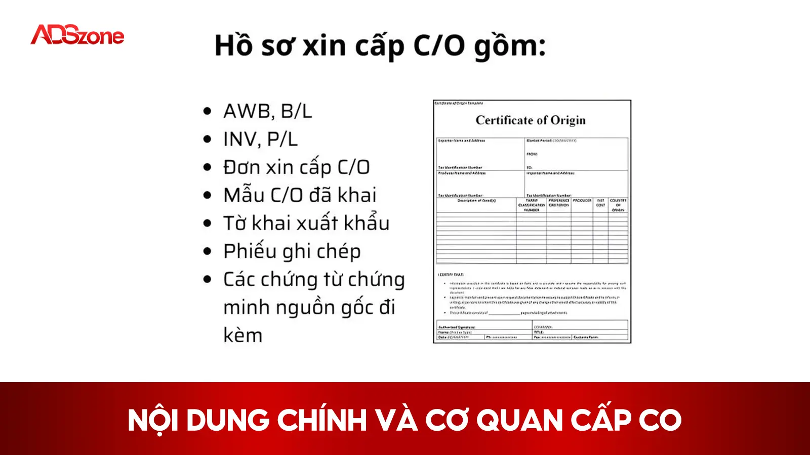Nội Dung Chính Của CO