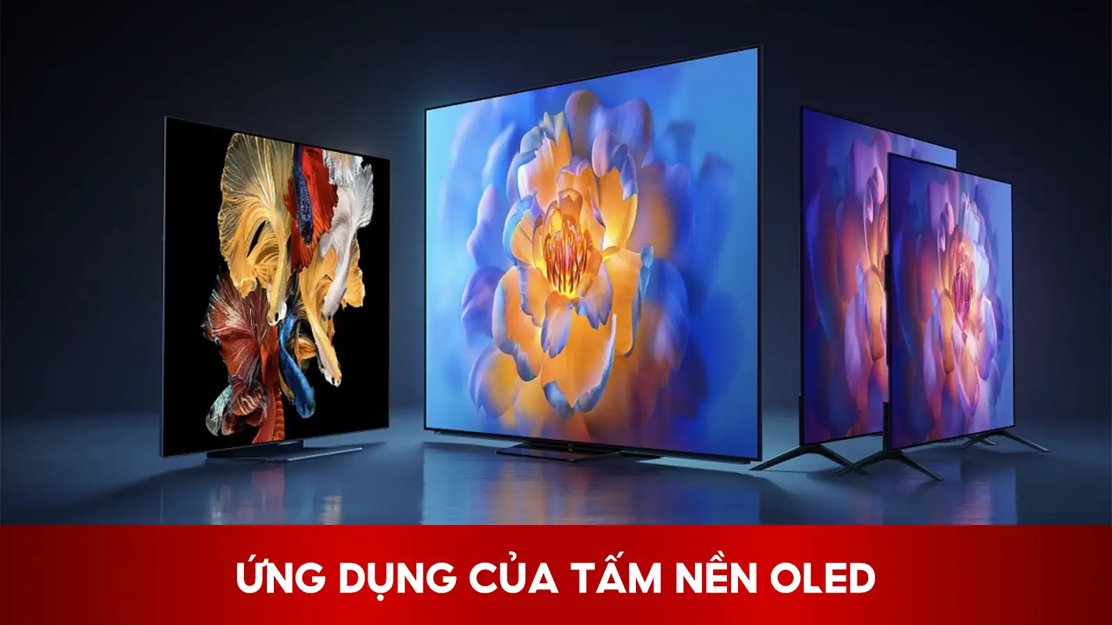 OLED Rất Phổ Biến Trên Điện Thoại Thông Minh, TV Cao Cấp