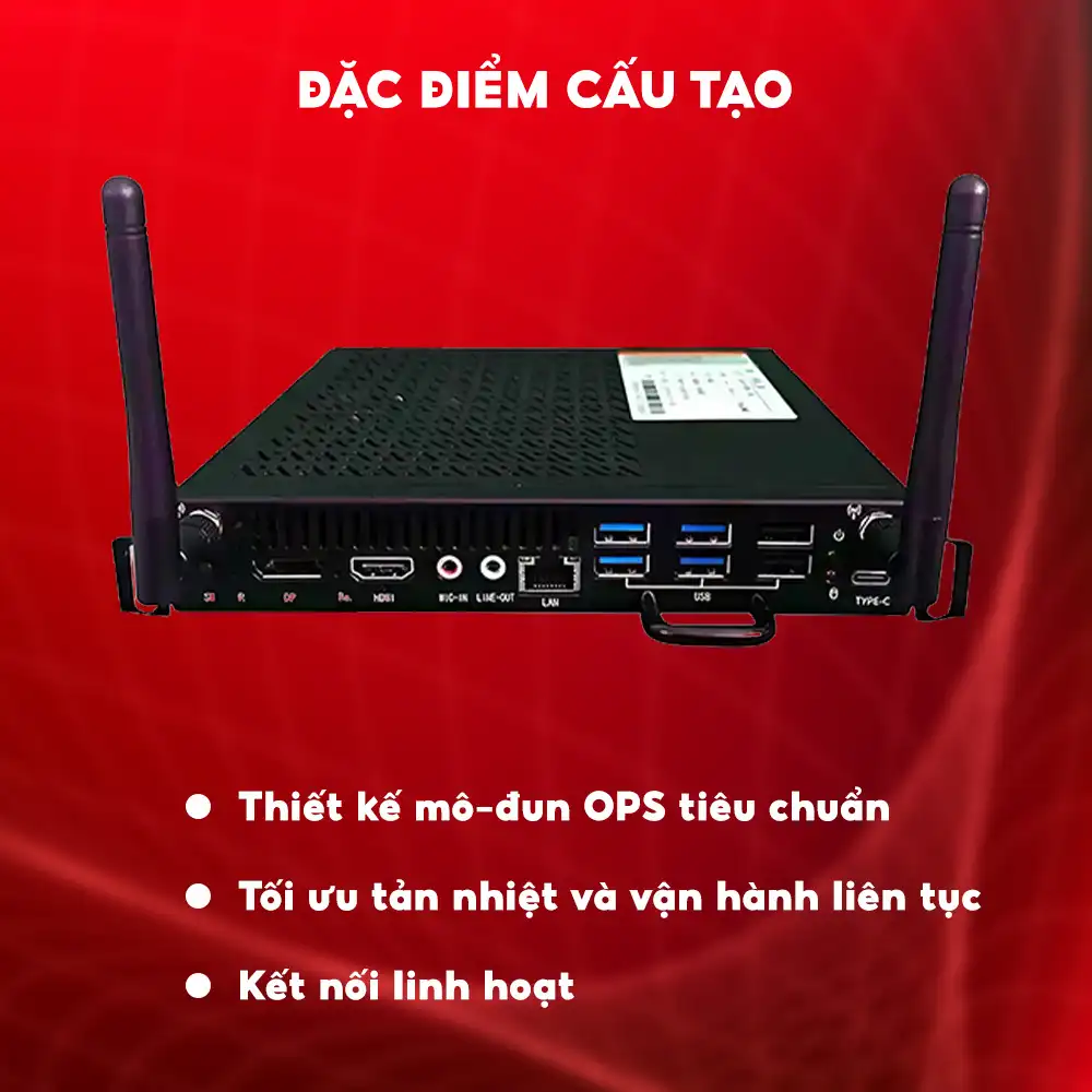 Đặc Điểm Cấu Tạo
