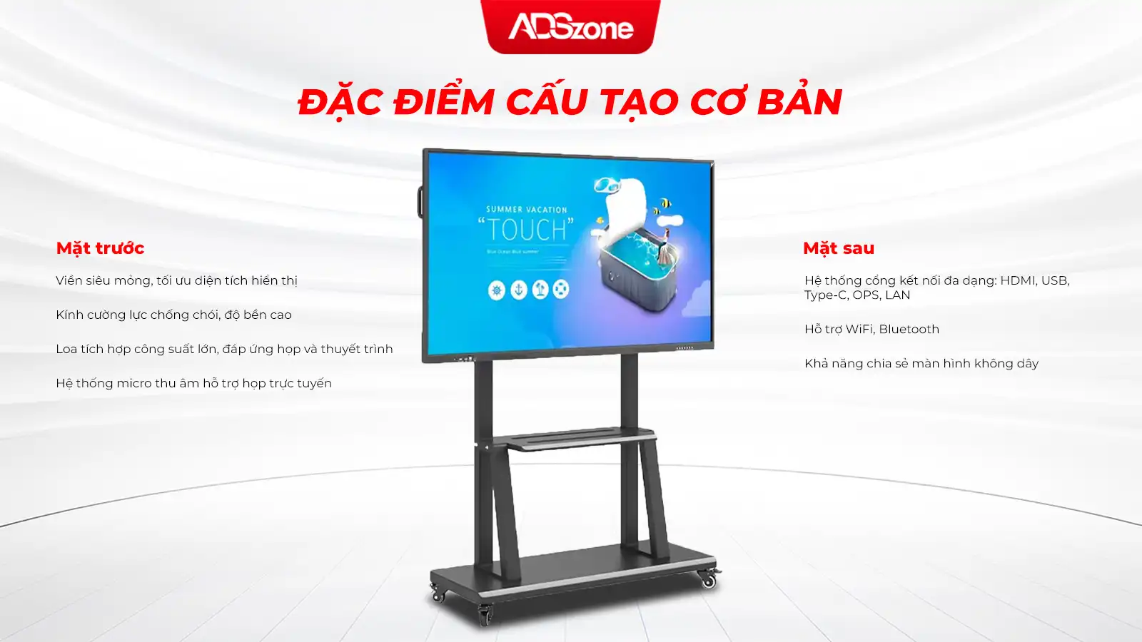 Đặc Điểm Cấu Tạo Cơ Bản
