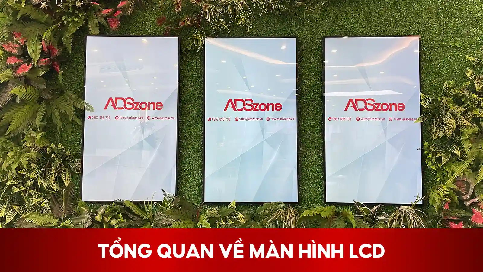 Màn Hình LCD - Hiển Thị Ổn Định, Bền Bỉ Theo Thời Gian