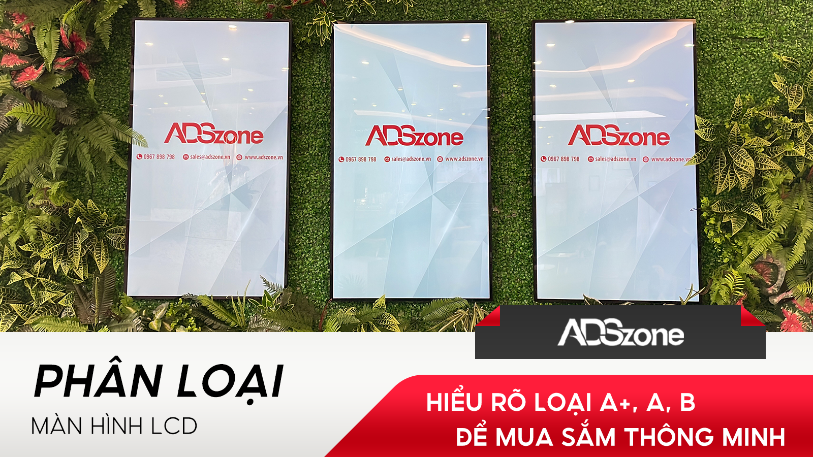 AVT Phân Loại Màn Hình LCD