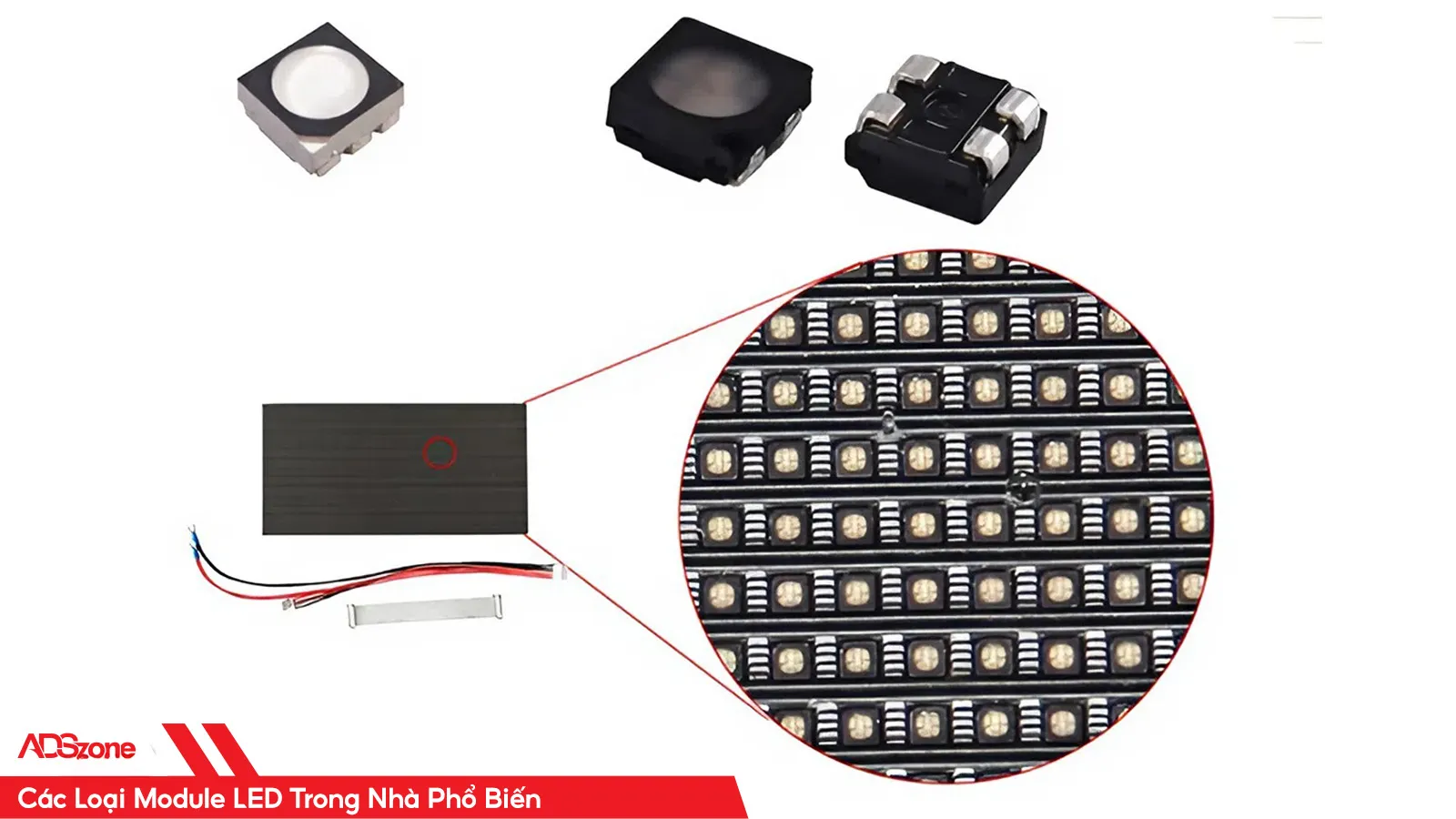 Module LED Trong Nhà