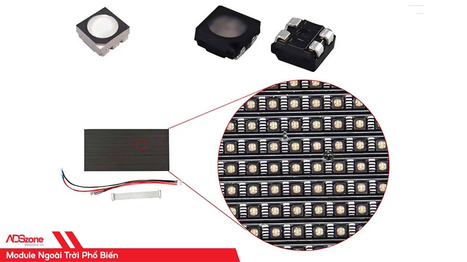 Module LED Ngoài Trời 