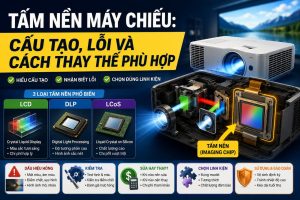Tấm nền máy chiếu: Cấu tạo, lỗi và cách thay