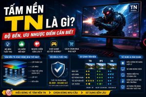 Tấm nền TN là gì? Độ bền và ưu nhược điểm