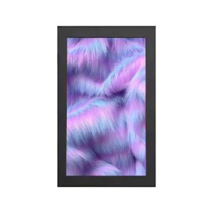 Màn Hình Quảng Cáo Treo Tường Ngoài Trời 43 Inch
