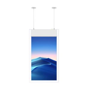 Màn Hình Thả Trần 1 Mặt 55 Inch