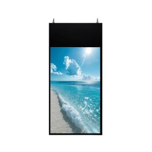 Màn Hình Thả Trần 2 Mặt 50 Inch