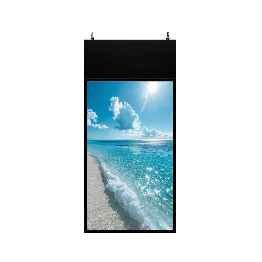 Màn Hình Thả Trần 2 Mặt 50 Inch