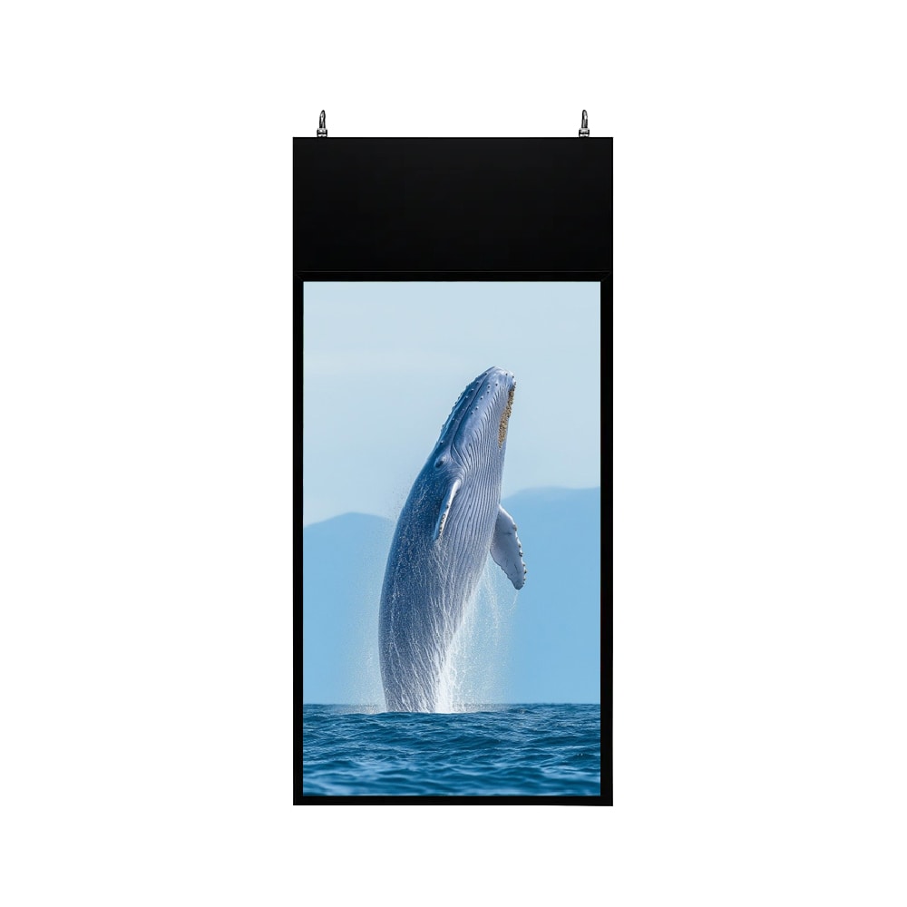 Màn Hình Thả Trần 2 Mặt 55 Inch