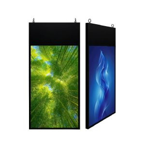 Màn hình Thả Trần 2 Mặt Mỏng 43 Inch