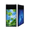 Màn hình Thả Trần 2 Mặt Mỏng 55 Inch