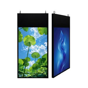 Màn hình Thả Trần 2 Mặt Mỏng 55 Inch
