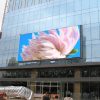 Màn hình LED ngoài trời P8 4