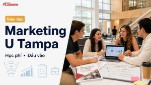 Ngành Marketing U Tampa: Chương Trình Học, Học Phí & Đầu Vào
